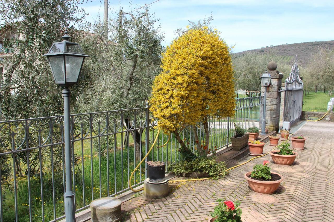 Le Coccole Del Trasimeno Pension Tuoro sul Trasimeno Buitenkant foto