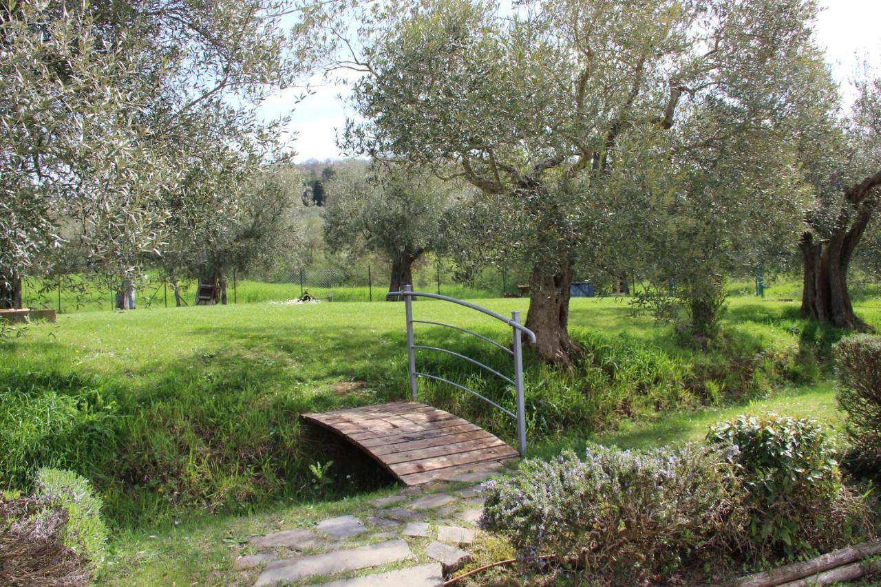 Le Coccole Del Trasimeno Pension Tuoro sul Trasimeno Buitenkant foto