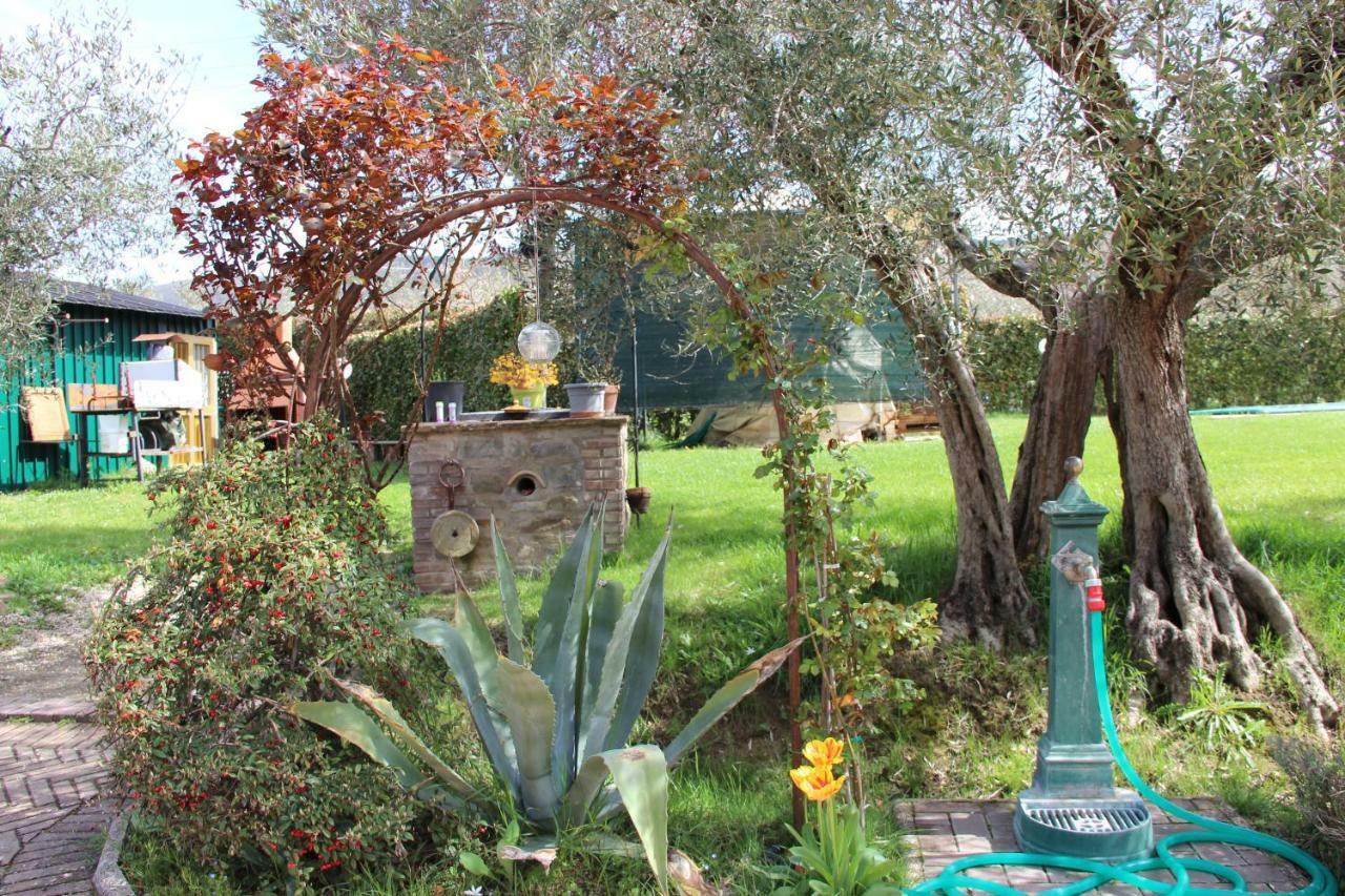 Le Coccole Del Trasimeno Pension Tuoro sul Trasimeno Buitenkant foto