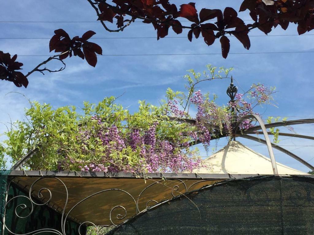 Le Coccole Del Trasimeno Pension Tuoro sul Trasimeno Buitenkant foto