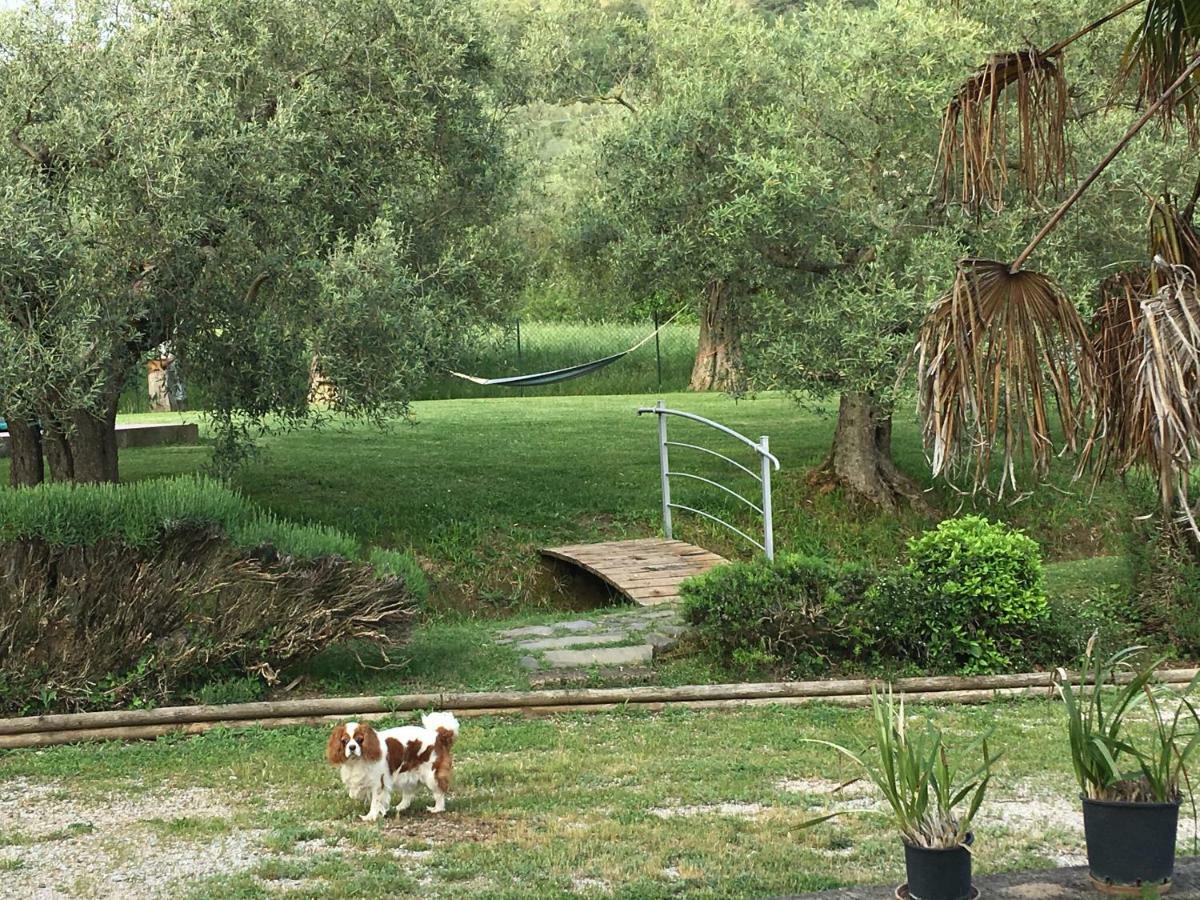 Le Coccole Del Trasimeno Pension Tuoro sul Trasimeno Buitenkant foto