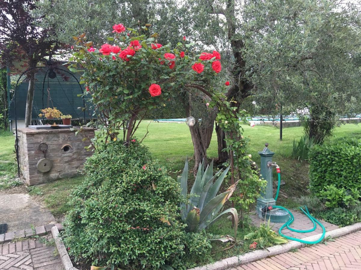 Le Coccole Del Trasimeno Pension Tuoro sul Trasimeno Buitenkant foto