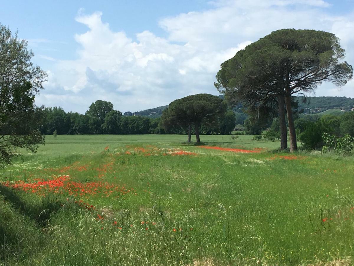 Le Coccole Del Trasimeno Pension Tuoro sul Trasimeno Buitenkant foto