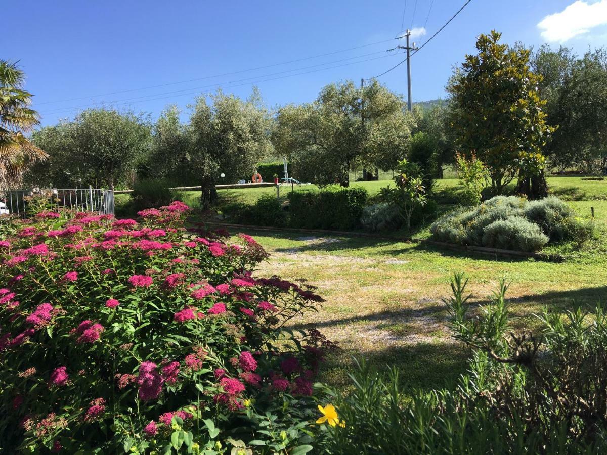 Le Coccole Del Trasimeno Pension Tuoro sul Trasimeno Buitenkant foto